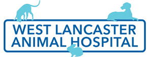 Link to Homepage of West Lancaster Animal Hospital
